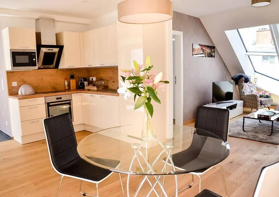 Top 11 New Design Apartment Vienna